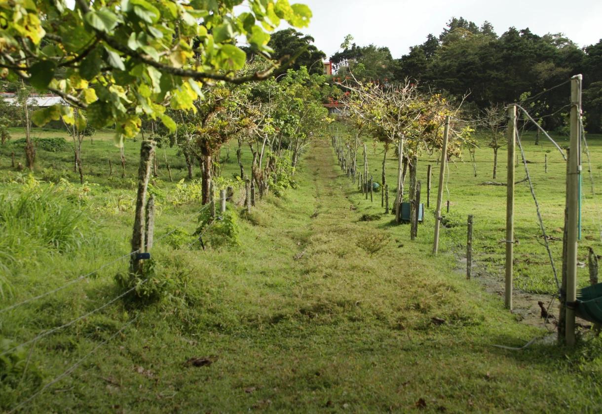 Finca La Esperanza